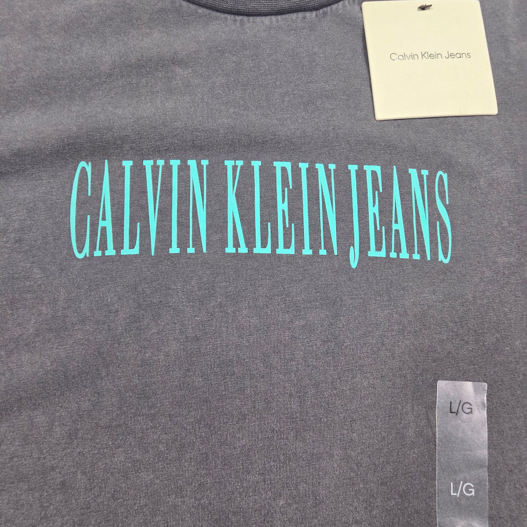 Calvin Klein Jeans Men’s Logo T-Shirt Short Sleeve Gray NWT Large